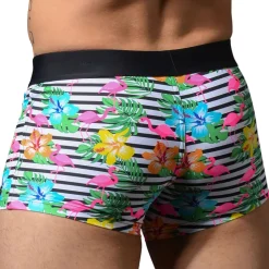 Boxer de Bain Island Tropic