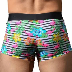 Boxer de Bain Island Tropic