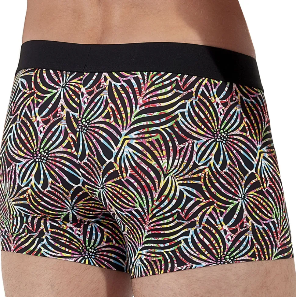 Boxer Roald Multicolore