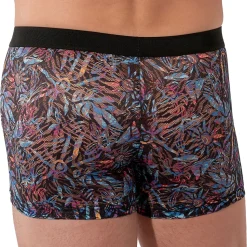 Boxer Temptation Biscayne