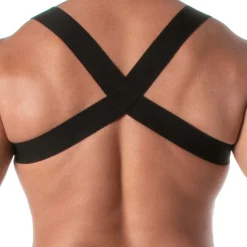 Harnais à Poche Zippée Fiesta Or