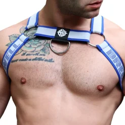 Harnais Bulldog Groove Bleu