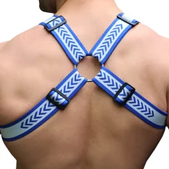 Harnais Bulldog Groove Bleu