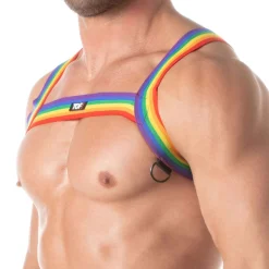 Harnais de Poitrine Rainbow Arc-en-Ciel