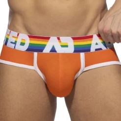 Lot de 6 Slips Rainbow Multicolores