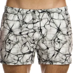 Short de Bain Four Elements Air