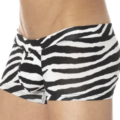 Shorty Zèbre
