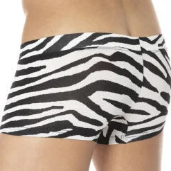 Shorty Zèbre