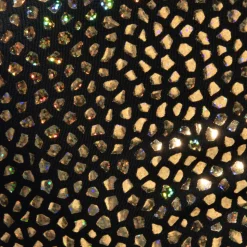 Slip Bikini Gold Stones Noir