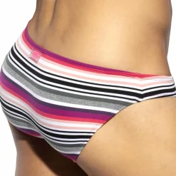 Slip Bikini Retro Stripes Gris - Rose