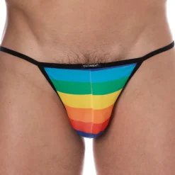 Slip Kini Renaissance Arc-En-Ciel